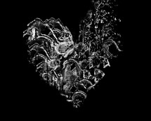liquid heart