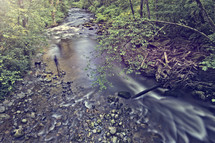 stream in a forest 