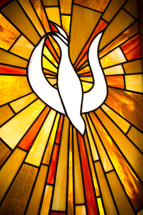 white dove stained glass window