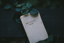 Ivy and a New Testament and Psalms Bible 