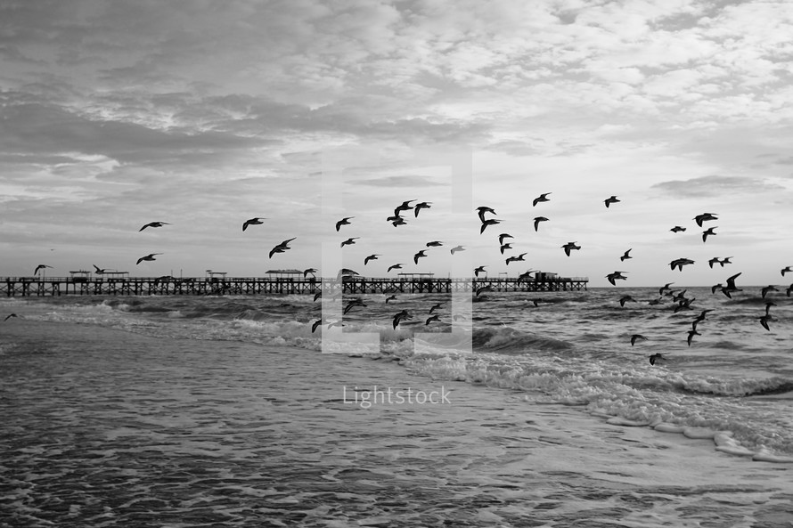 Seagulls flying over the waves near a pier in the ocean.