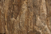 Stone texture on a granite boulder