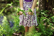 A little girl in a dress with hands full of fern leaves.