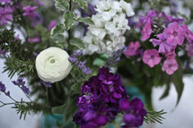 purple and white flowers in a vase