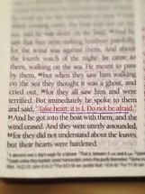Magnified passage in Bible, Mark 6:50.