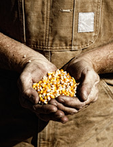 Farmer holding corn seed in cupped hands