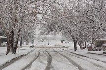 A snow-covered street and trees on a winter day