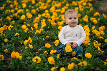Little boy sitting in field of yellow flowers