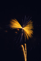 Blue and gold fireworks exploding in the night sky.