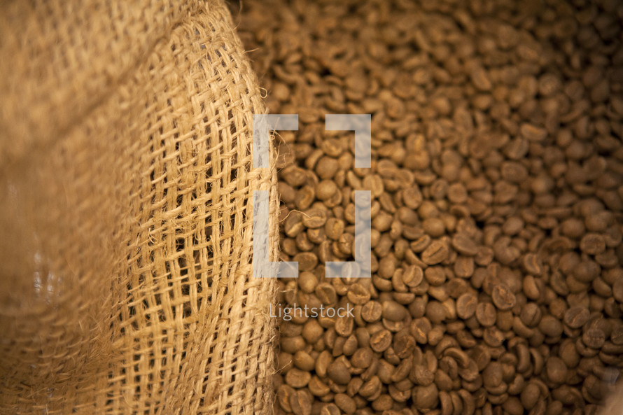 coffee beans in a burlap sack