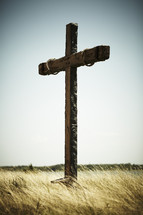 The cross standing in a field