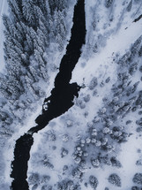 White snow-covered tree forest with a river from above