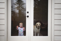 a dog and infant a back door window 