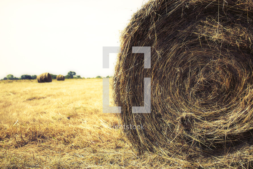 A bale of hay