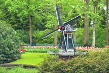 Keukenhof garden with colorful fresh tulips, flowers and Dutch windmill in background, Netherlands, Europe