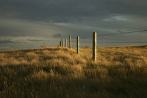 barbed wire and fence posts in a pasture 
