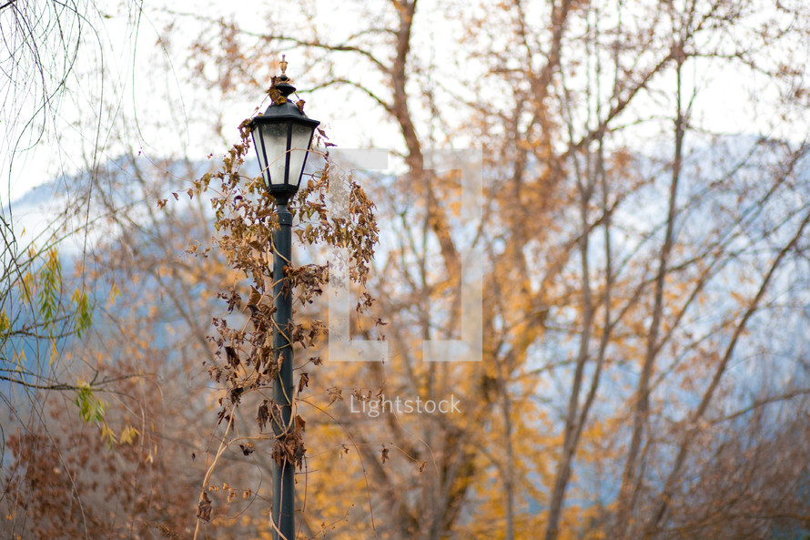 Street lamp in the Fall