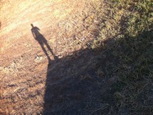 Man's shadow in grass
