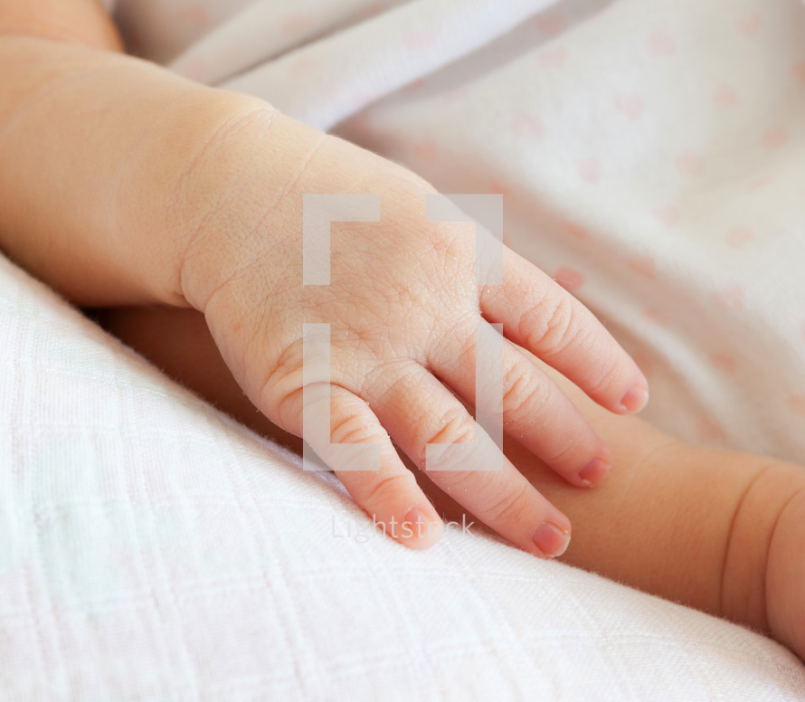 newborn baby hand 