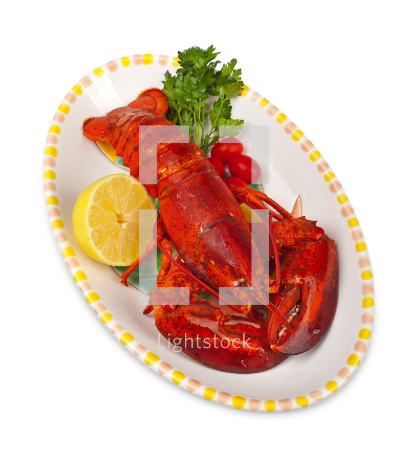 cooked lobster on a white background 