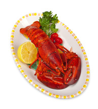 cooked lobster on a white background 