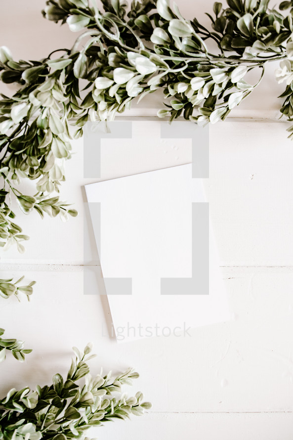 white paper with boxwood border 