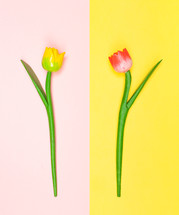 Wooden tulips contrasted with the background color