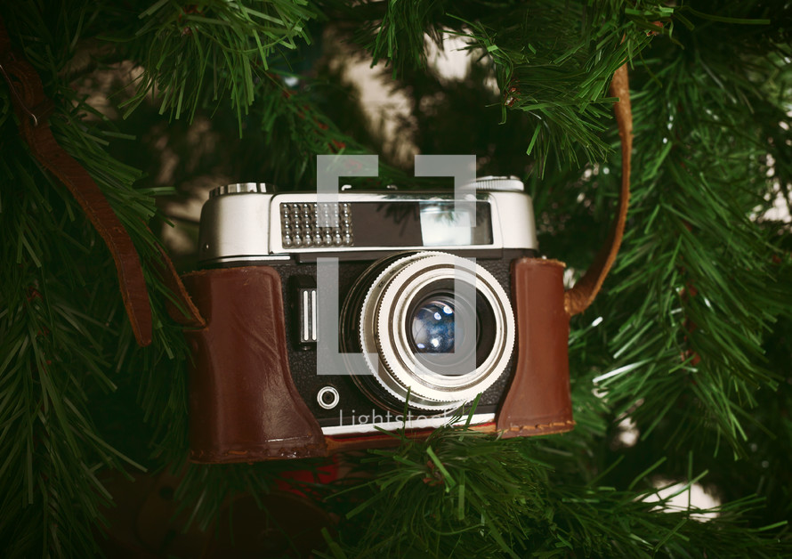 Vintage camera in a bare artificial Christmas tree  