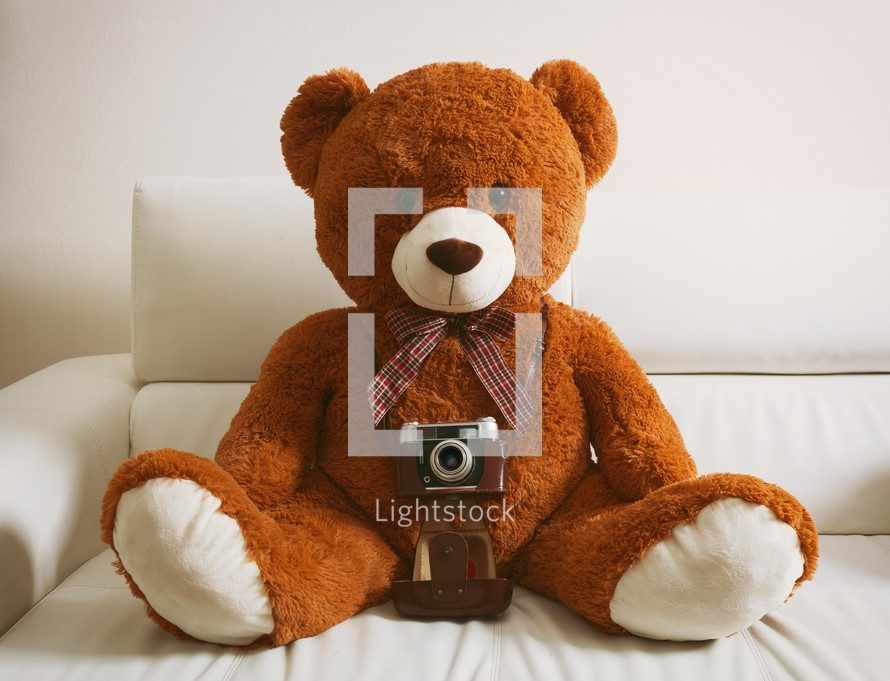 Big teddy bear with vintage 35mm camera