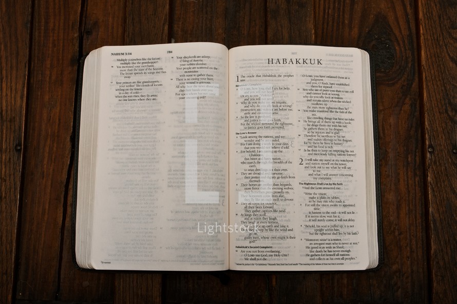 Scripture Titles - Habakkuk