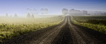 looking down a long dirt road and fog covering a field 