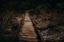 wooden path 