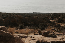 dirt road and desert landscape 