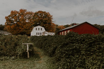 farmhouse and red barn 