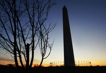 A silhouette of the Washington Monument surrounded by flags at sunset