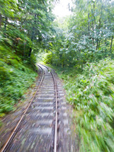 railroad tracks through a dense forest