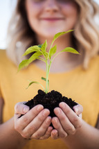cupped hands holding a plant 