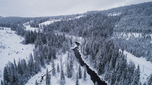 White snow-covered forest and a river from above