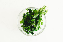 bowl of cilantro 