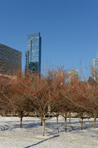 park in Downtown Chicago with snow 