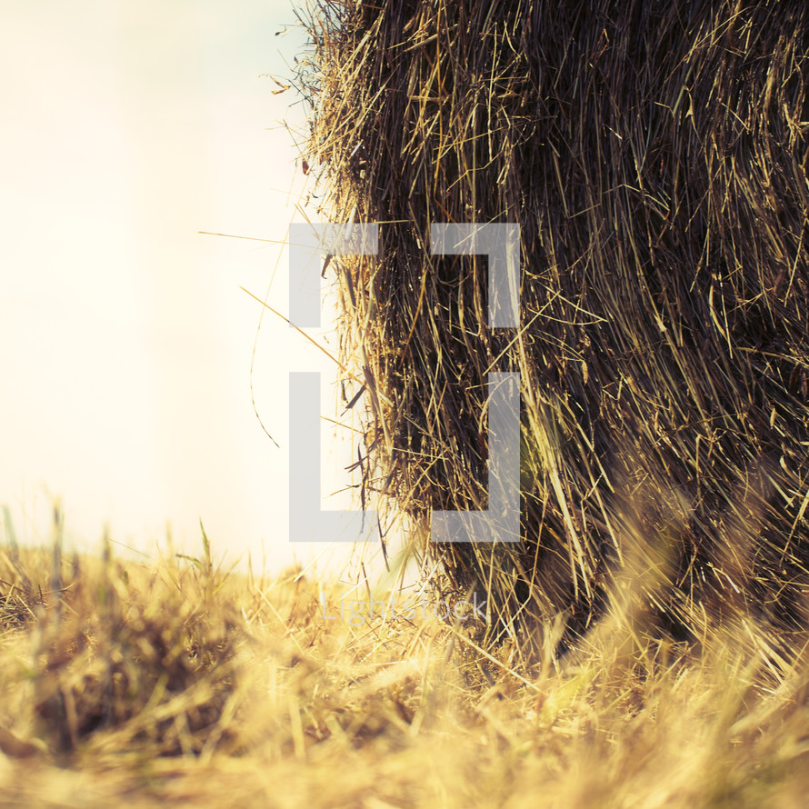 A hay bale in a field during harvest
