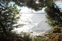 view of a lake through trees on a shore 