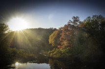 Sunlit view of fall trees and pond
