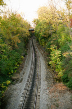 Train tracks in the woods