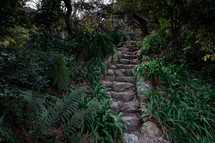 rock steps in a jungle 