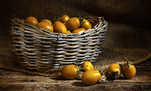 yellow Heirloom cherry tomatoes called yellow pear and yellow datterino (or plum) cherry tomatoes.