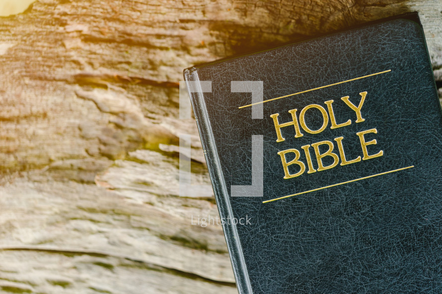 Holy Bible on a rock 