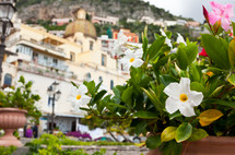 Church Of Santa Maria Assunta with flowers in Positano, Amalfi coast, Italy