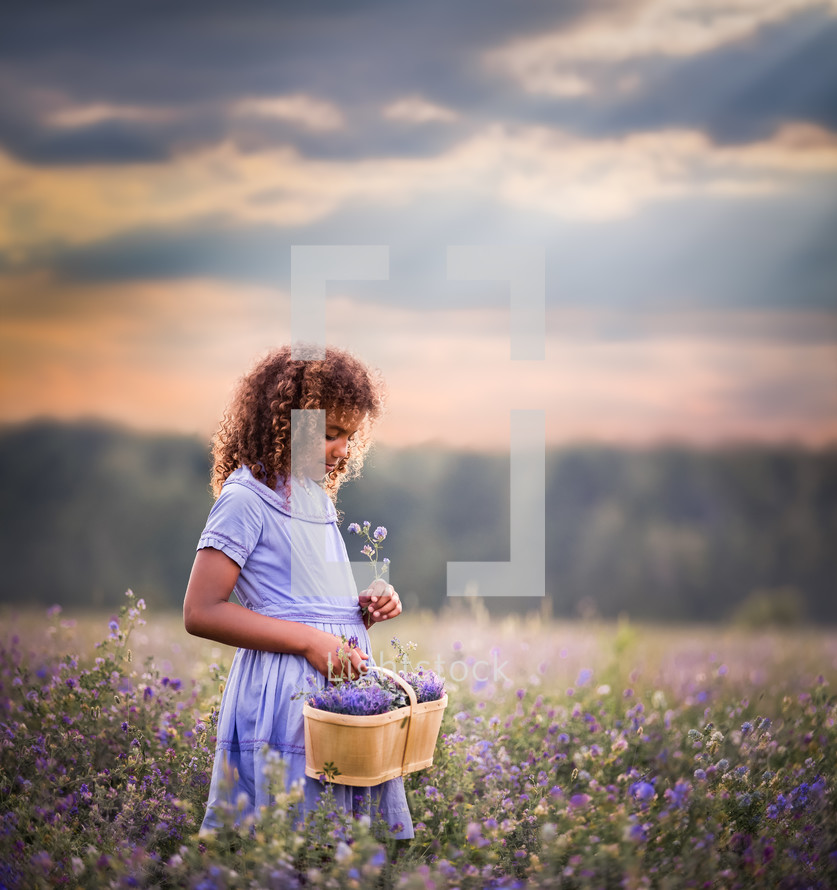 girl picking flowers in a field 