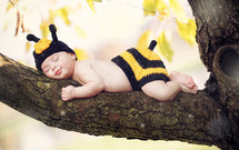 New born baby girl dressed as a bee on a branch of a tree